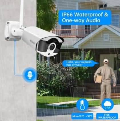 Surveillance system